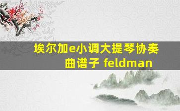 埃尔加e小调大提琴协奏曲谱子 feldman